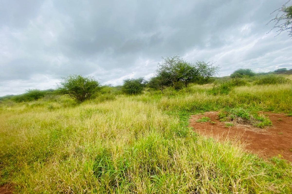 A wide-angle view of the open farm landscape featuring natural grassland and indigenous shrubs under a cloudy sky.