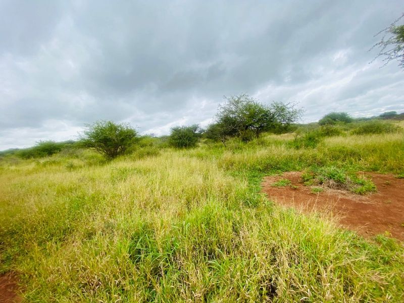 A wide-angle view of the open farm landscape featuring natural grassland and indigenous shrubs under a cloudy sky.