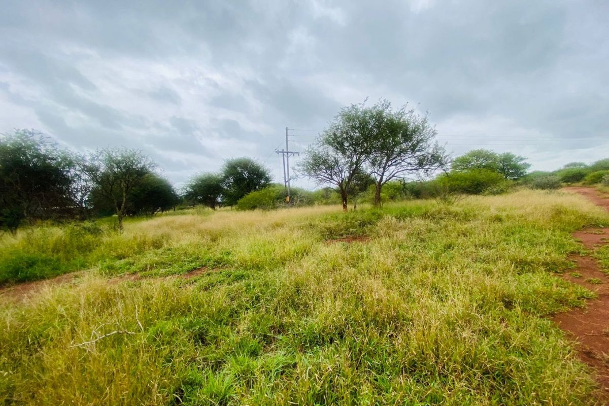 An expansive, undeveloped plot of land featuring natural grassland, scattered indigenous trees, and visible overhead utility infrastructure.