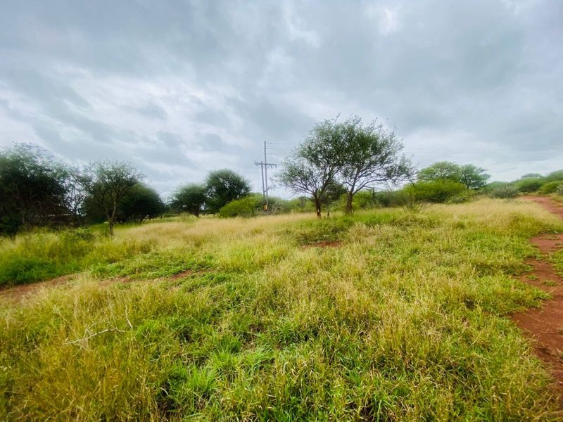 An expansive, undeveloped plot of land featuring natural grassland, scattered indigenous trees, and visible overhead utility infrastructure.