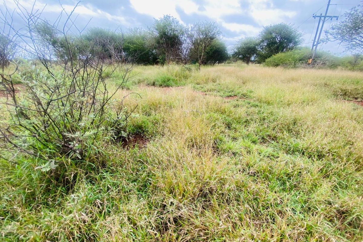 An expansive, undeveloped plot of land featuring natural grassland, scattered indigenous trees, and visible overhead utility infrastructure.