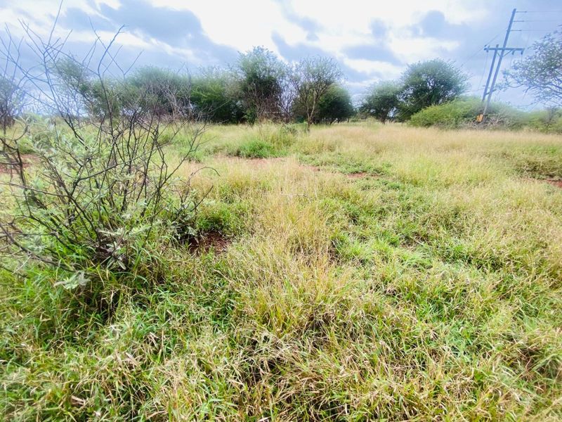 An expansive, undeveloped plot of land featuring natural grassland, scattered indigenous trees, and visible overhead utility infrastructure.