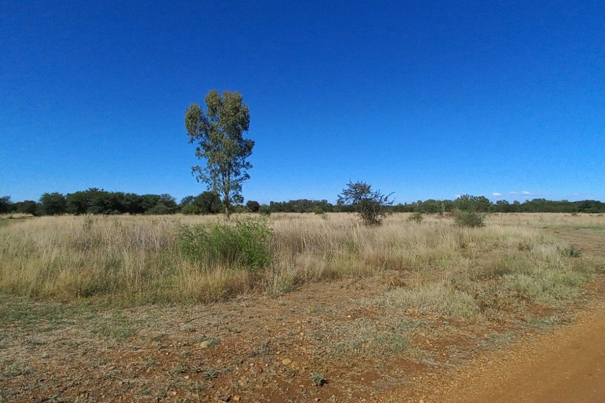 Vacant Land / Plot for Sale in Orkney - Photo 4