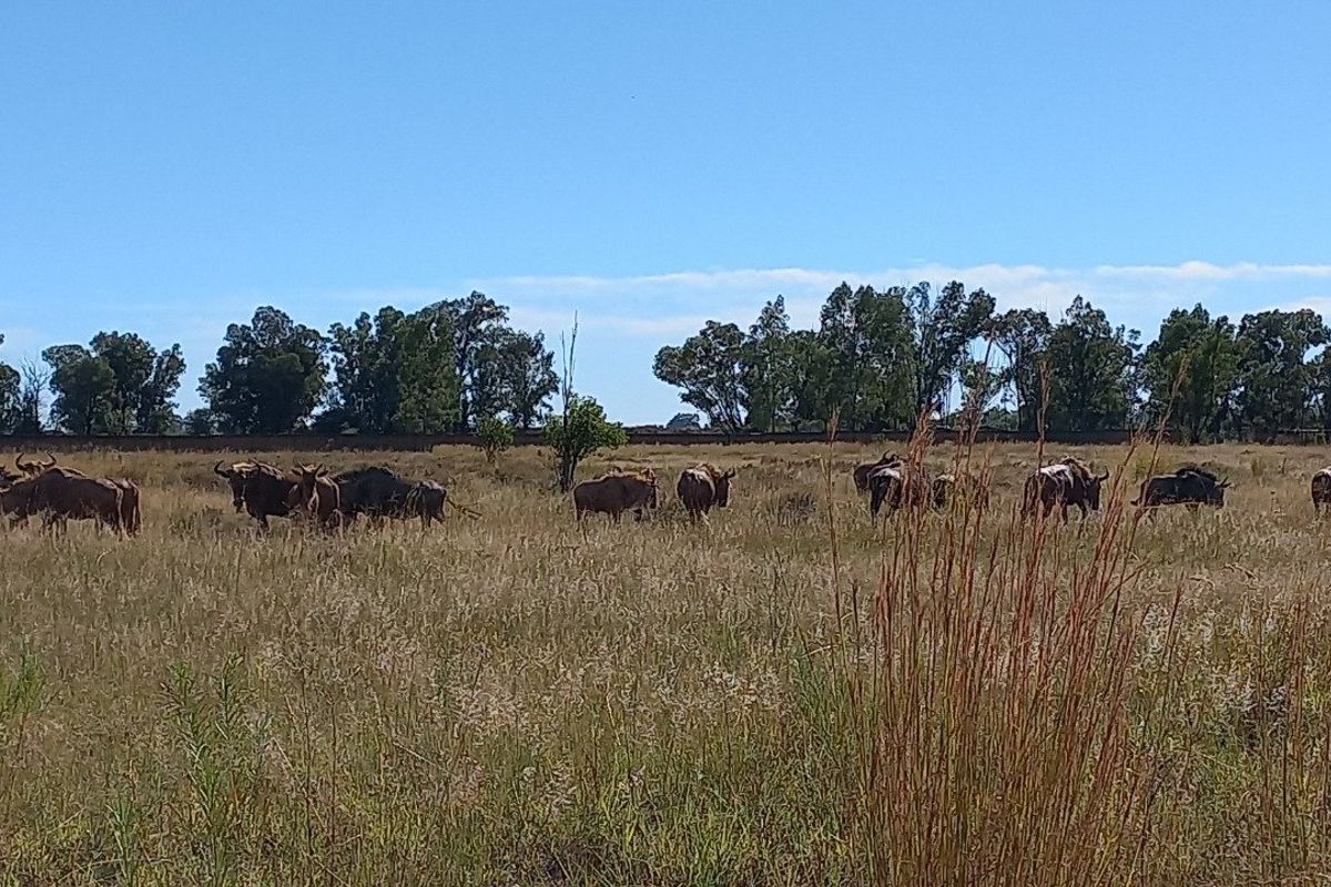 Vacant Land / Plot for Sale in Orkney - Photo 3