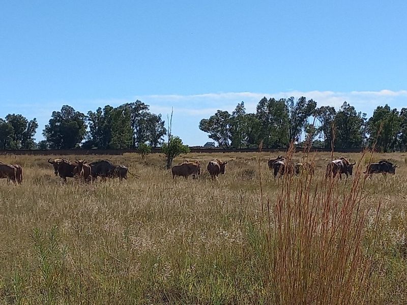 Vacant Land / Plot for Sale in Orkney - Photo 3