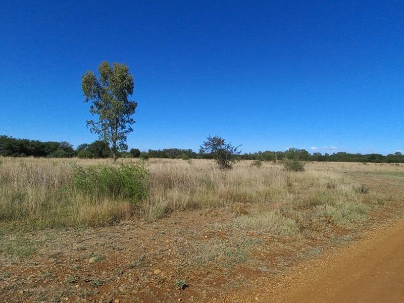 Vacant Land / Plot for Sale in Orkney - Photo 5