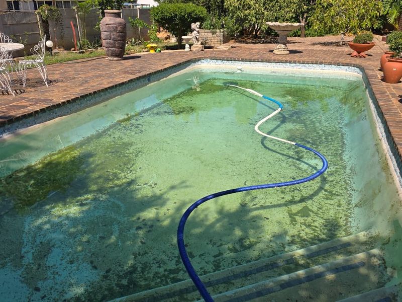 This is a proper family home. Contemporary styling, all in a neat and spacious package in a quiet street in Flamwood. - Photo 5