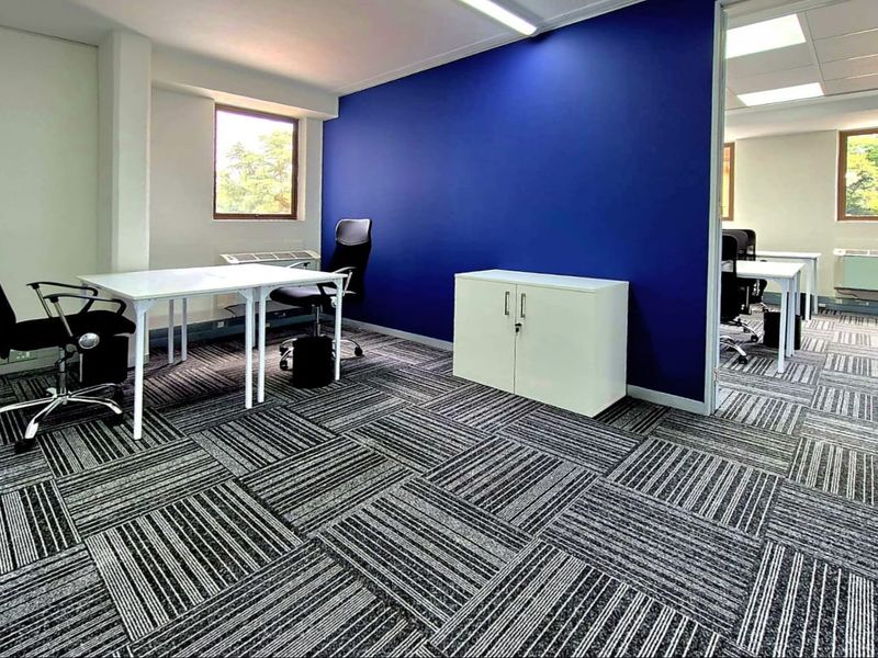 Modern commercial office space featuring patterned carpet tiles, a bold blue accent wall, and recessed ceiling lighting with glass partition access.