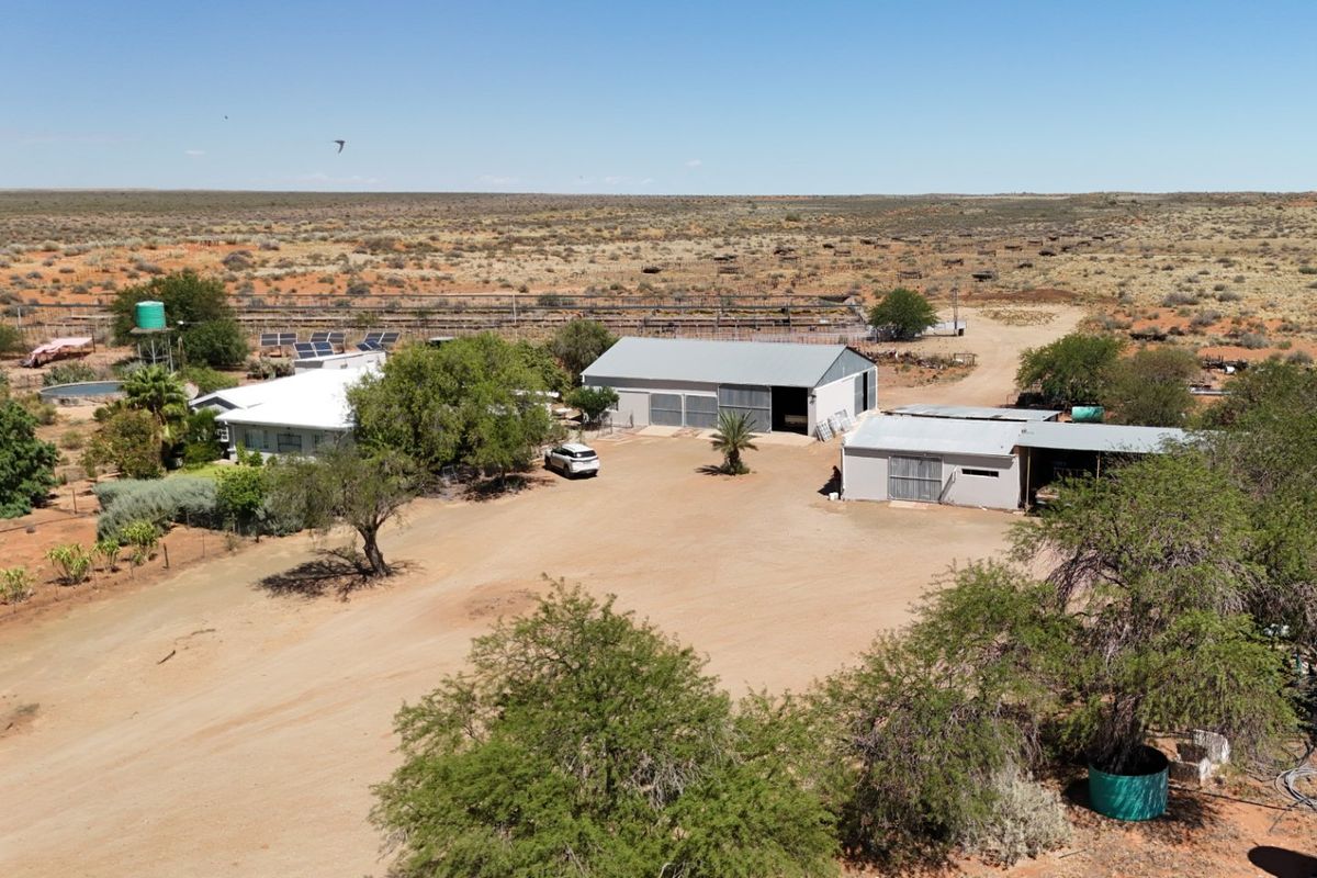 Kalahari Livestock Farm for Sale – Near Noenieput, Western Kalahari - Photo 5