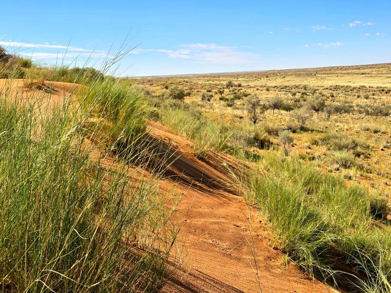 Kalahari Livestock Farm for Sale – Near Noenieput, Western Kalahari - Photo 3