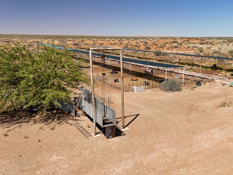 Kalahari Livestock Farm for Sale – Near Noenieput, Western Kalahari - Photo 9