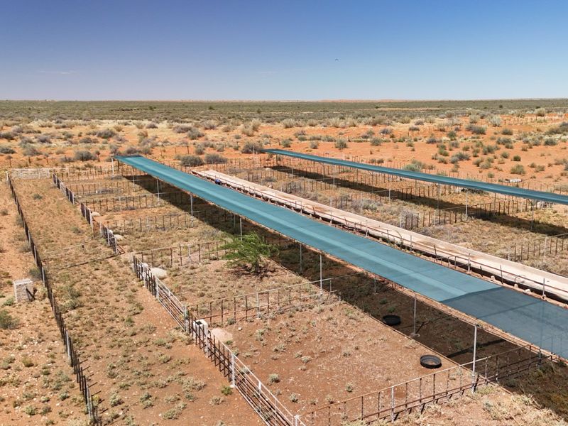 Kalahari Livestock Farm for Sale – Near Noenieput, Western Kalahari - Photo 8