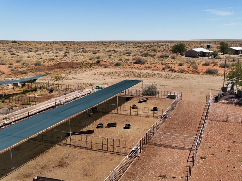 Kalahari Livestock Farm for Sale – Near Noenieput, Western Kalahari - Photo 7