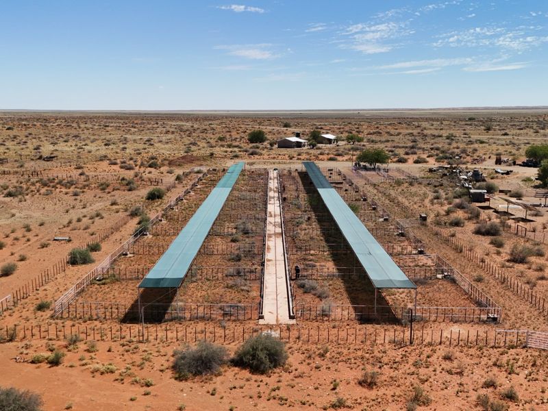Kalahari Livestock Farm for Sale – Near Noenieput, Western Kalahari - Photo 6