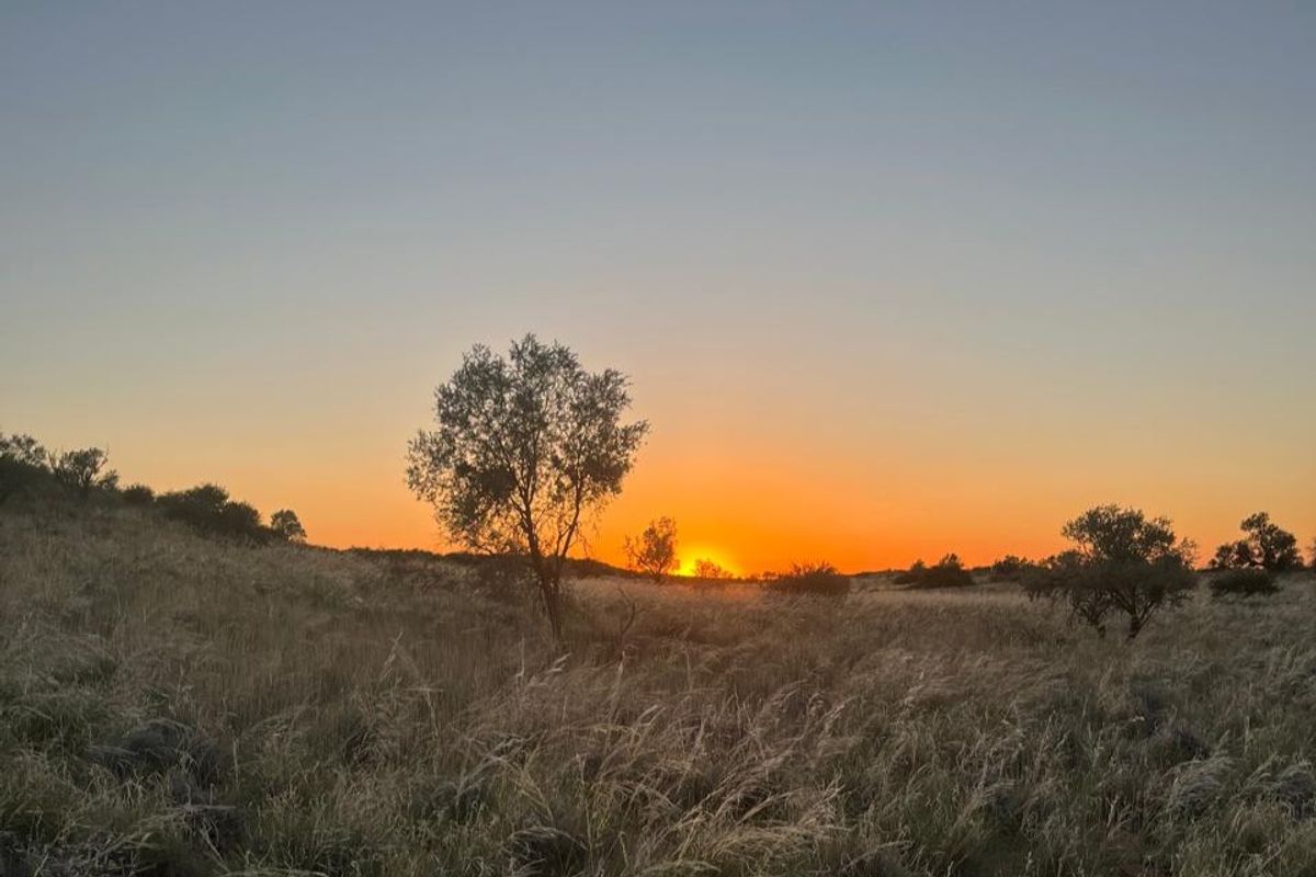 Kalahari Livestock Farm for Sale – Near Noenieput, Western Kalahari - Photo 2