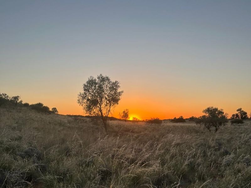 Kalahari Livestock Farm for Sale – Near Noenieput, Western Kalahari - Photo 2