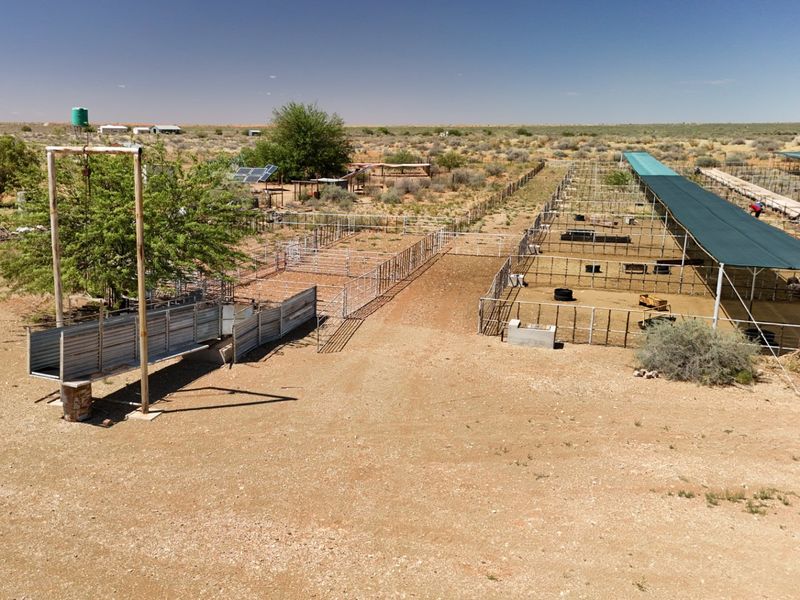 Kalahari Livestock Farm for Sale – Near Noenieput, Western Kalahari - Photo 10