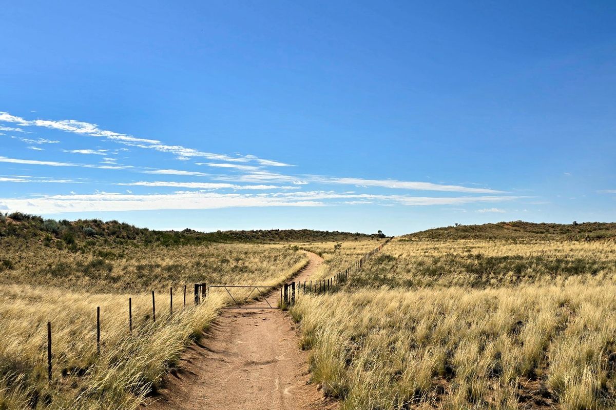 A dirt track leading through open grassland on a farm, featuring wire fencing and a metal gate under a clear blue sky.