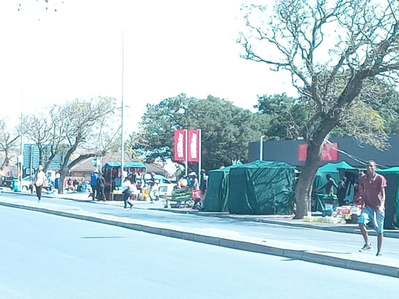 PRIME LAND  - Photo 9