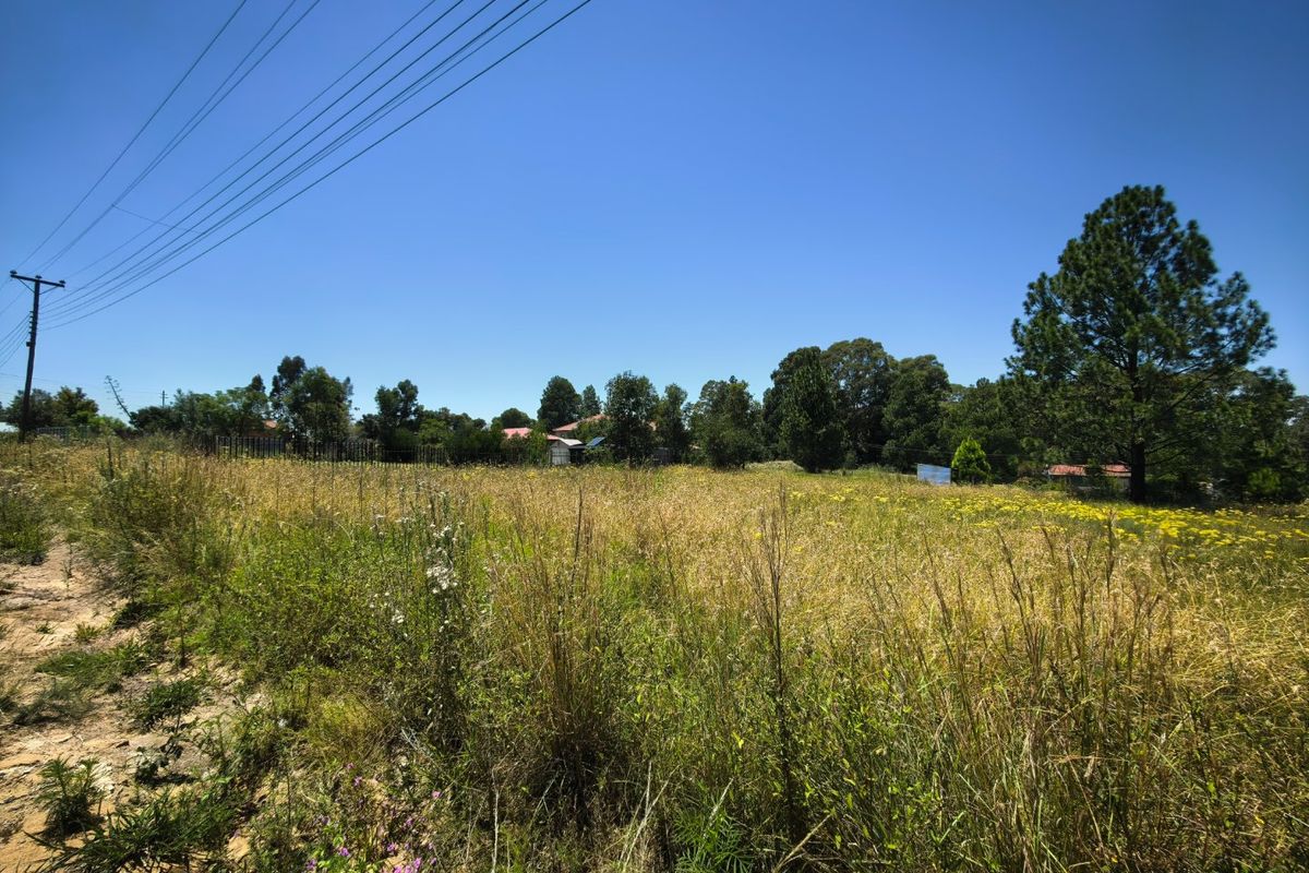An expansive, undeveloped plot of land featuring natural grass and mature trees, with overhead power lines visible in the sky.
