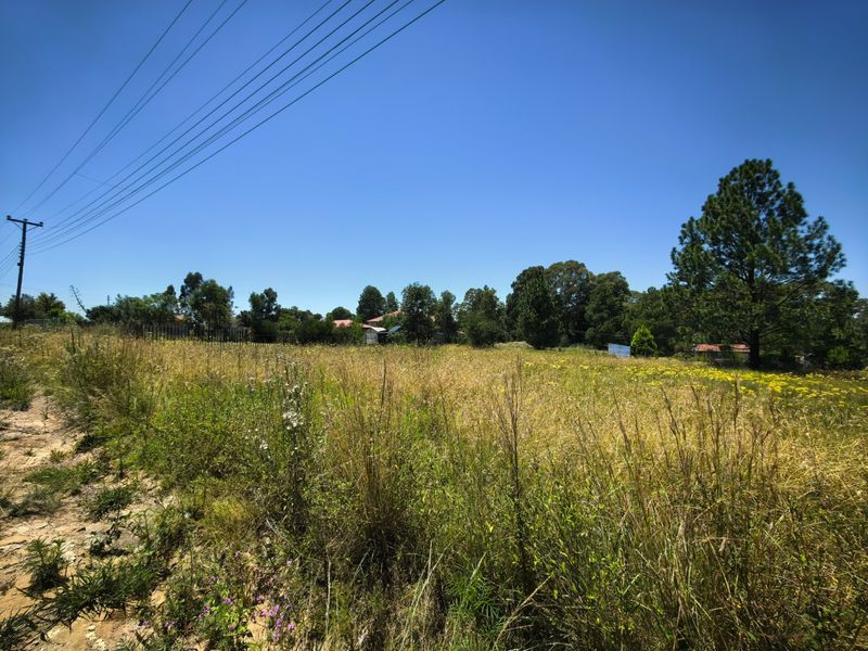 An expansive, undeveloped plot of land featuring natural grass and mature trees, with overhead power lines visible in the sky.