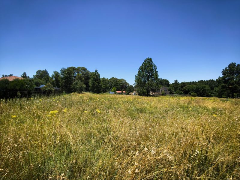 A large, undeveloped plot of land featuring tall, overgrown grass and mature trees, enclosed by perimeter fencing.