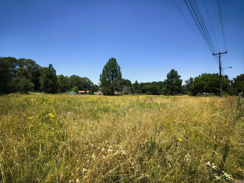 A wide, open grassy field with mature trees in the background and overhead utility lines visible.