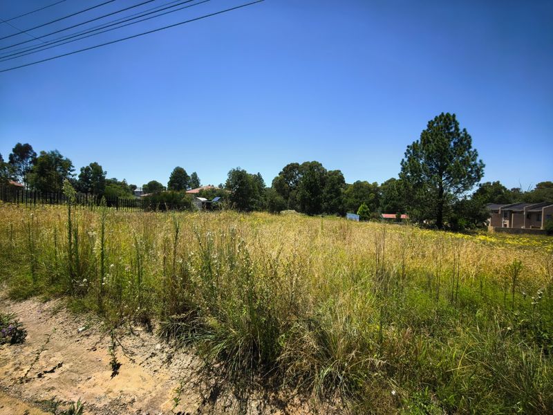 A large, undeveloped plot of land featuring overgrown grass and mature trees, offering potential for future landscaping or development.