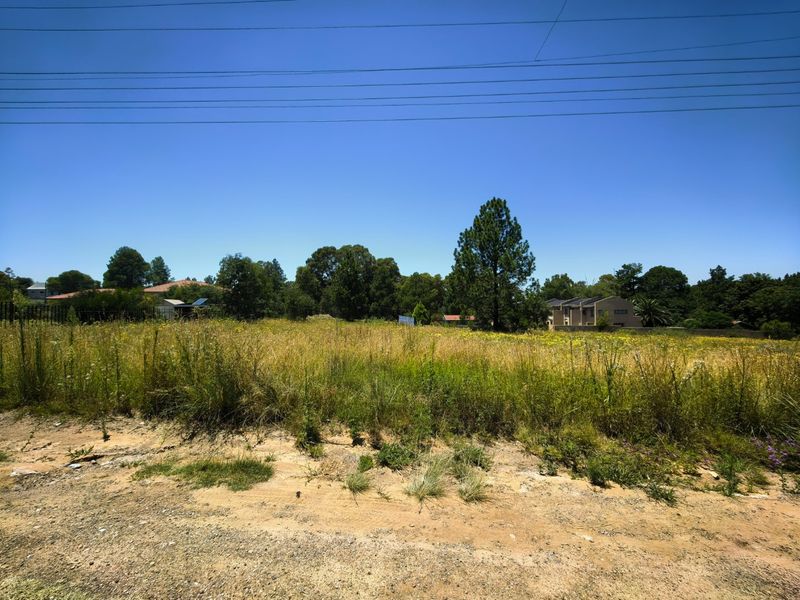 A large, undeveloped plot of land featuring overgrown grass and natural vegetation, offering potential for future residential development.