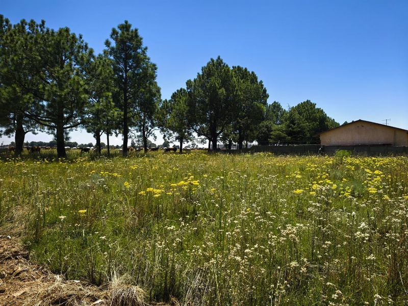 Prime Corner Double Stand in Deneysville, Free State - Photo 8