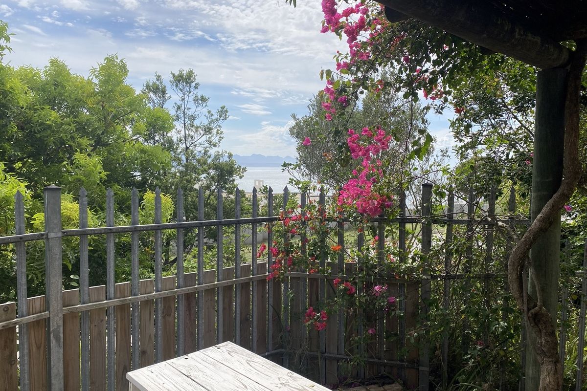 Spacious 2 bedroom flat with a view - Photo 4