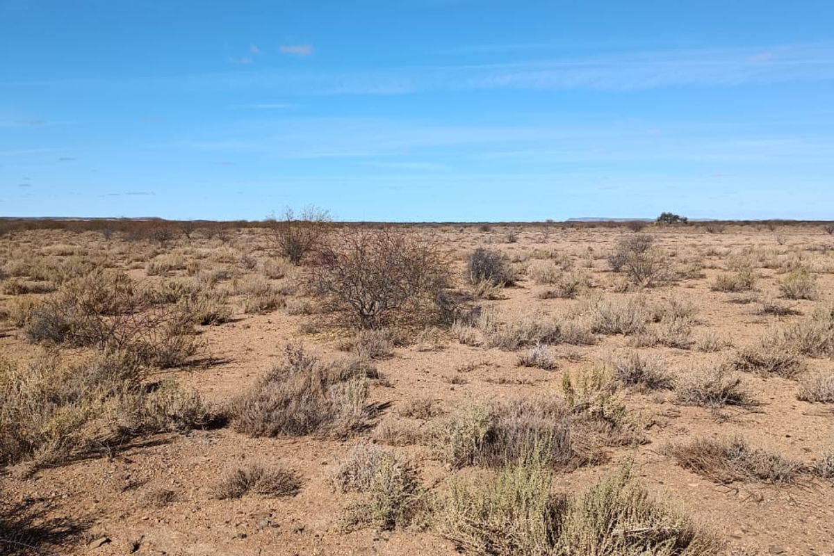 Step into a world of sensory delight at this enchanting Karoo Farm - Photo 5