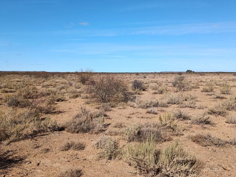Step into a world of sensory delight at this enchanting Karoo Farm - Photo 5
