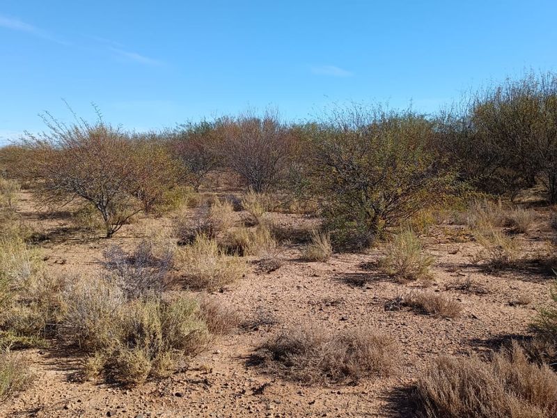 Step into a world of sensory delight at this enchanting Karoo Farm - Photo 2