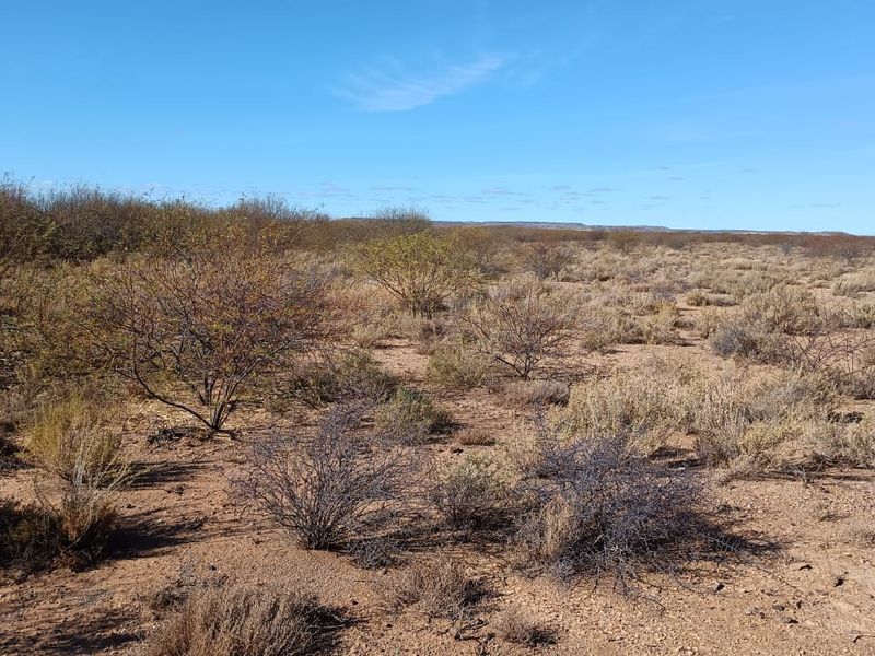 Step into a world of sensory delight at this enchanting Karoo Farm - Photo 6