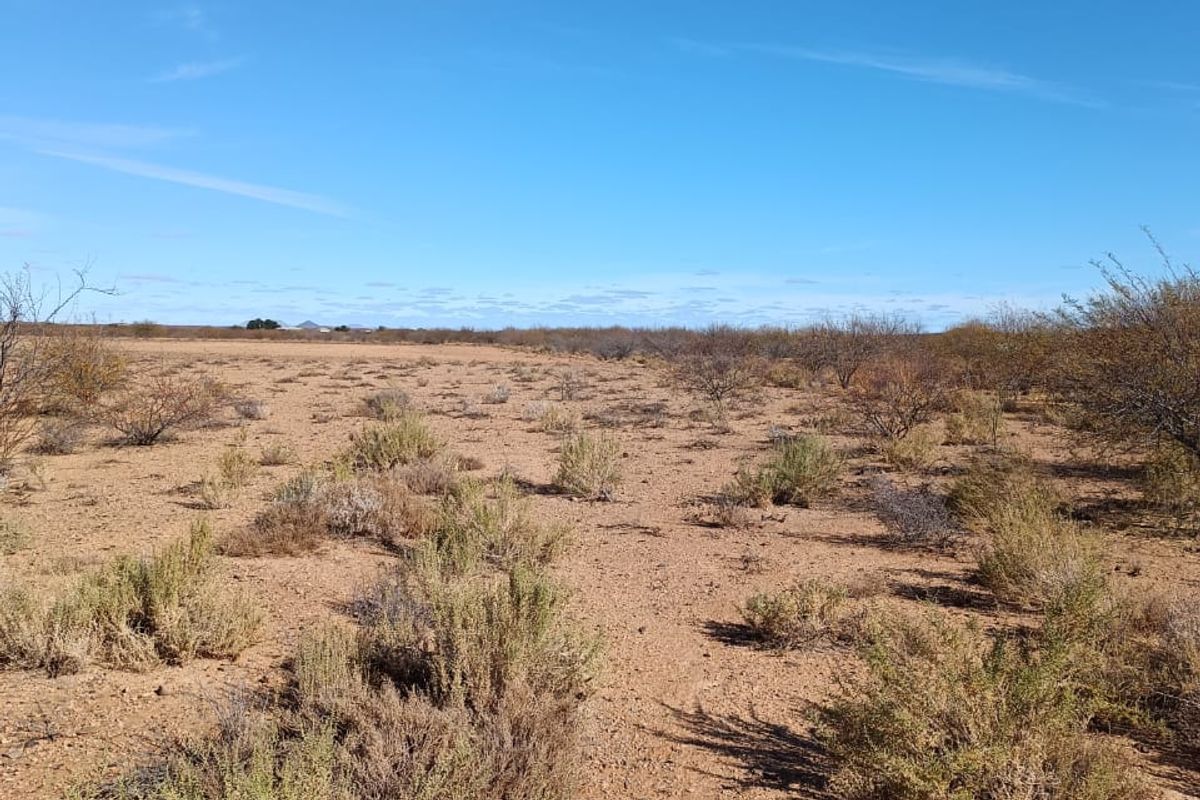 Step into a world of sensory delight at this enchanting Karoo Farm - Photo 3