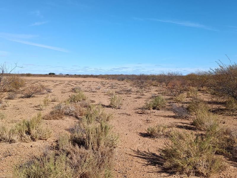 Step into a world of sensory delight at this enchanting Karoo Farm - Photo 3