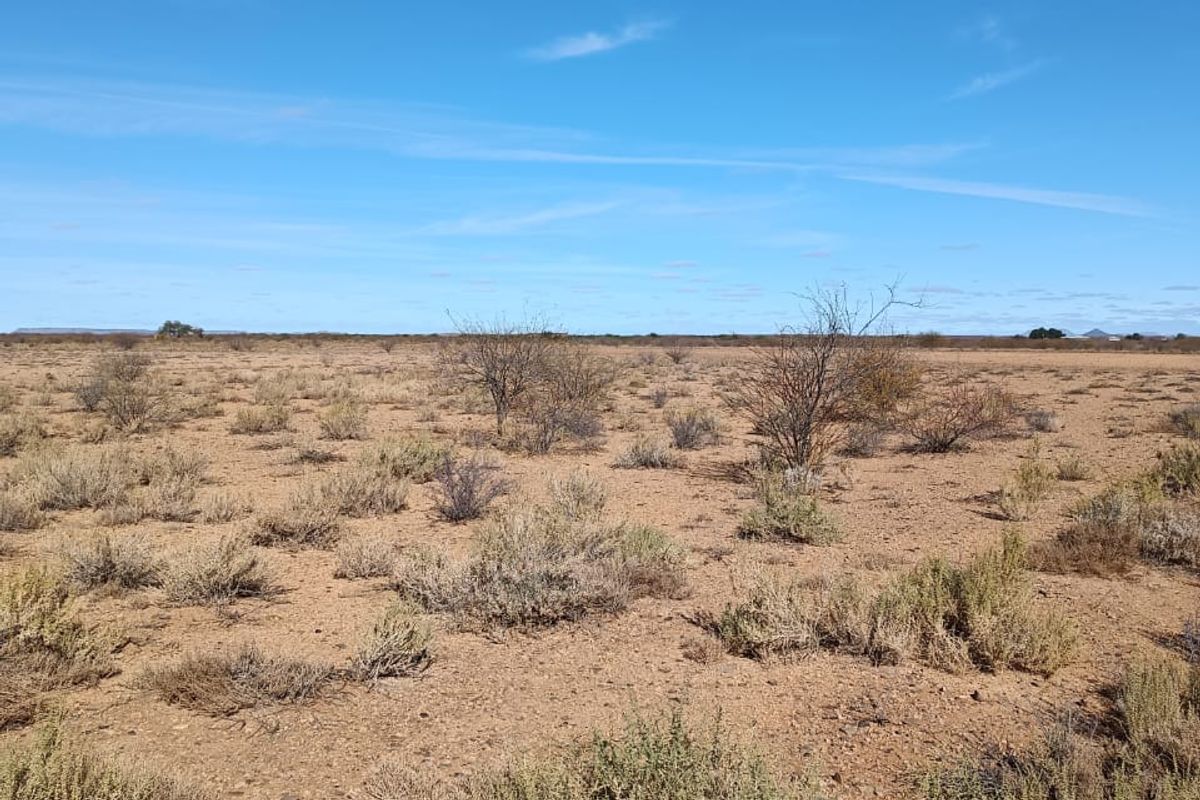 Step into a world of sensory delight at this enchanting Karoo Farm - Photo 4