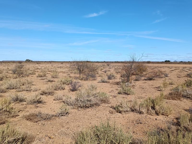 Step into a world of sensory delight at this enchanting Karoo Farm - Photo 4