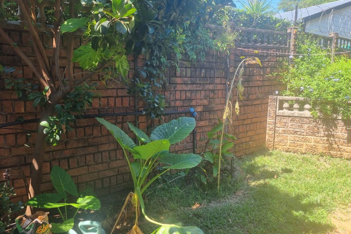 SOLE MANDATE - Photo 3