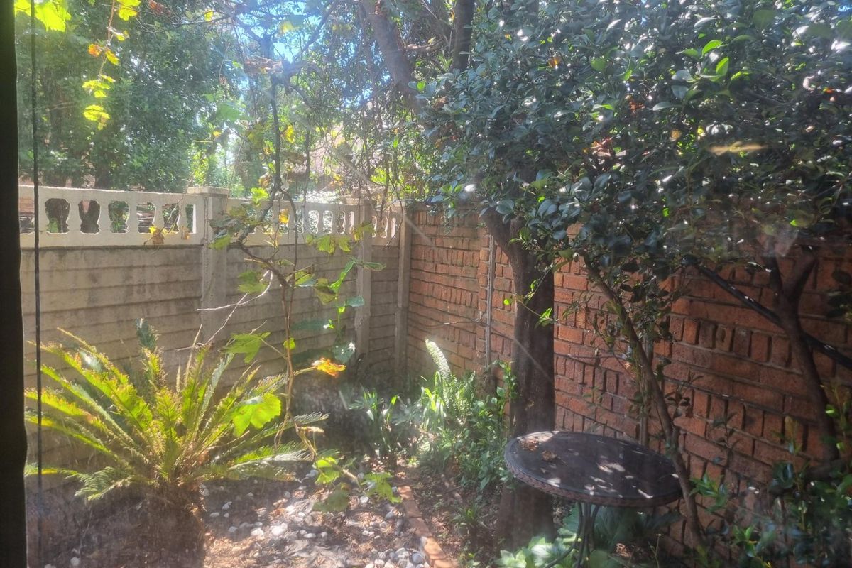 SOLE MANDATE - Photo 4