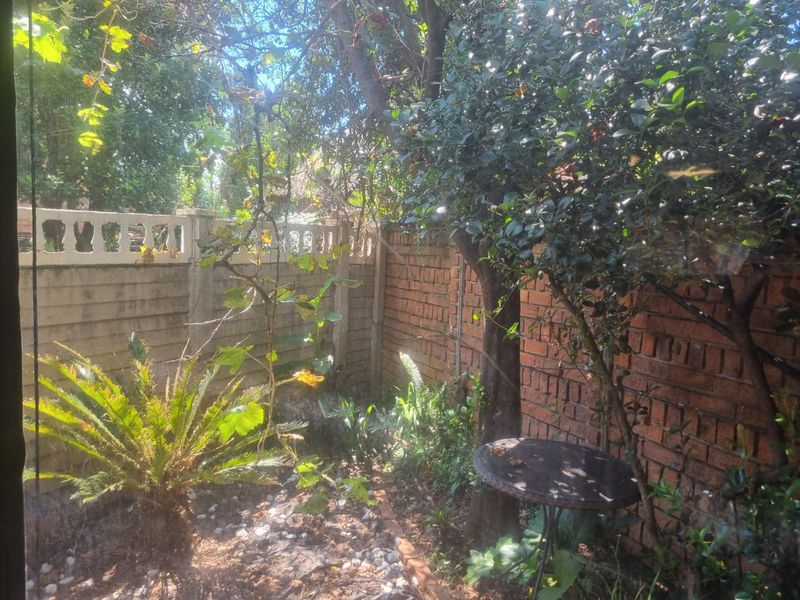 SOLE MANDATE - Photo 4