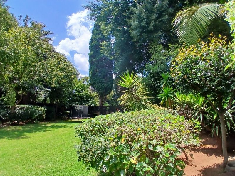 A lush, well-established garden featuring mature trees, manicured lawn areas, and established shrubbery, providing a private and serene outdoor environment.