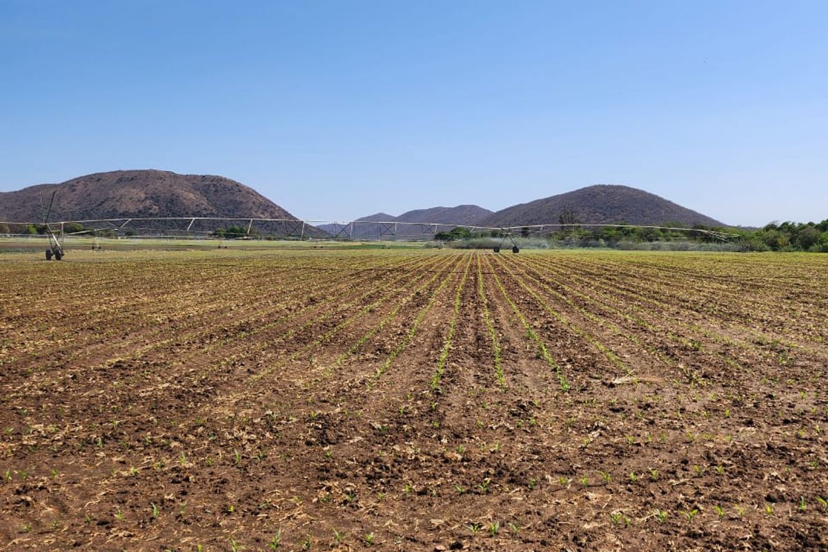 Prime Agricultural Farm for Sale - 13.8 Hectares, Near Brits, North West - Photo 3