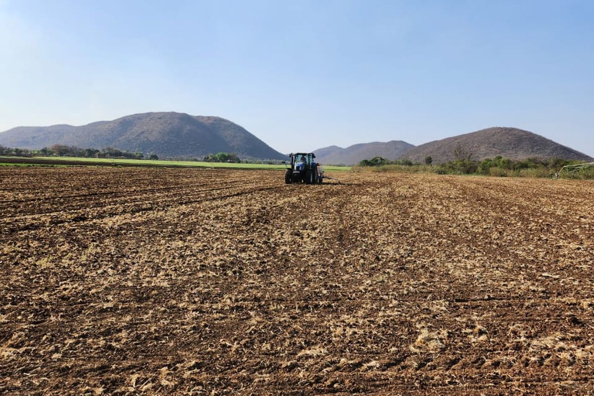 Prime Agricultural Farm for Sale - 13.8 Hectares, Near Brits, North West - Photo 5