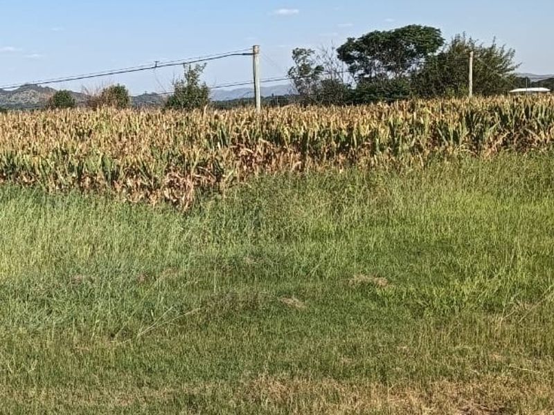 Prime Agricultural Farm for Sale - 13.8 Hectares, Near Brits, North West - Photo 8