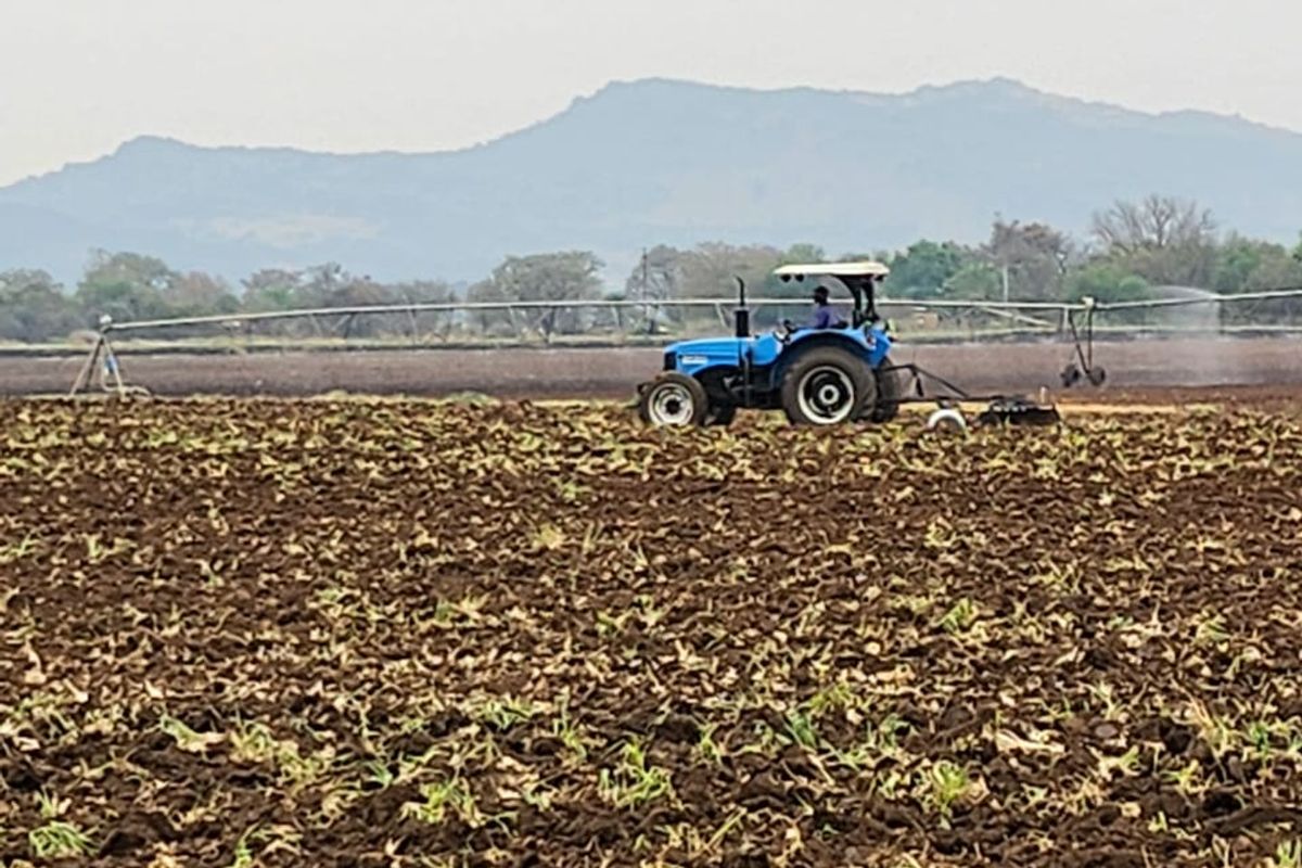 Prime Agricultural Farm for Sale - 13.8 Hectares, Near Brits, North West - Photo 4