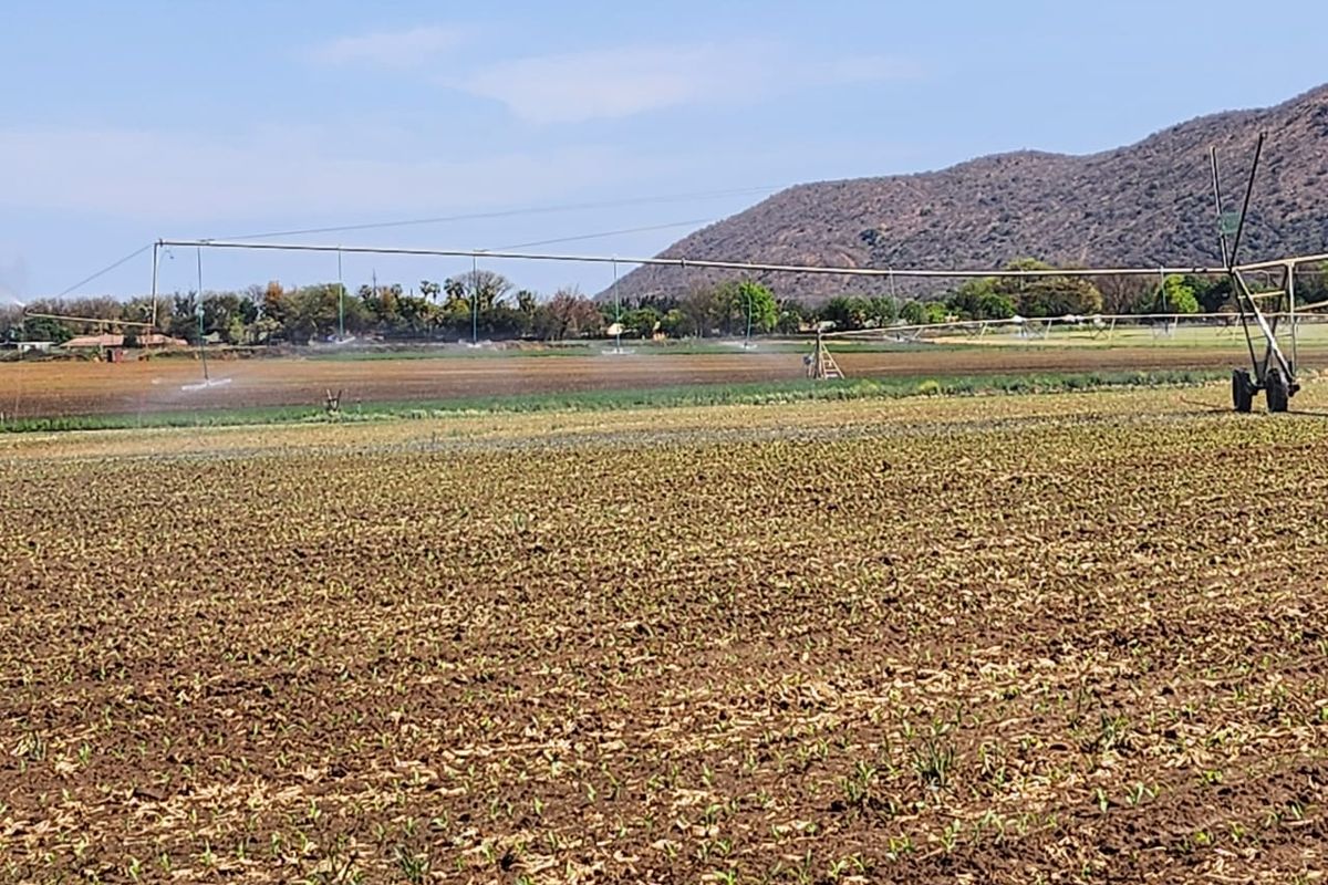 Prime Agricultural Farm for Sale - 13.8 Hectares, Near Brits, North West - Photo 2