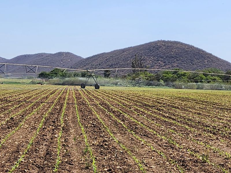 A large-scale agricultural field featuring a center pivot irrigation system in operation, set against a scenic hilly landscape.