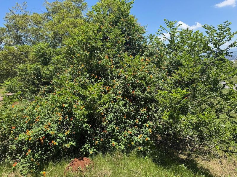 Your Dream Home Starts with the Perfect plot - Photo 5